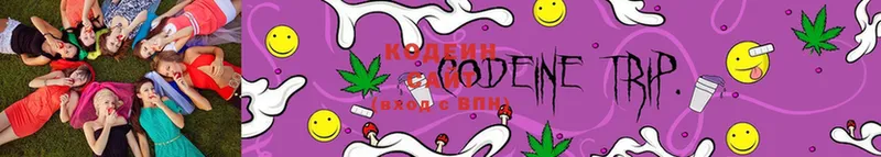 наркота  omg как войти  Codein Purple Drank  Георгиевск 