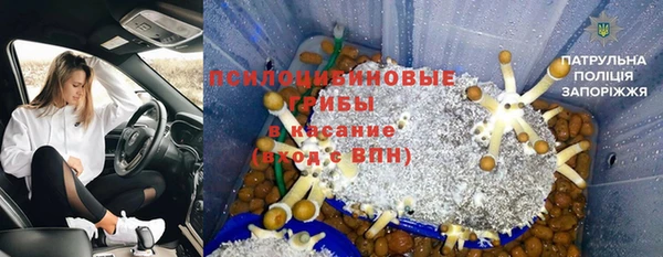 mdma Богородицк